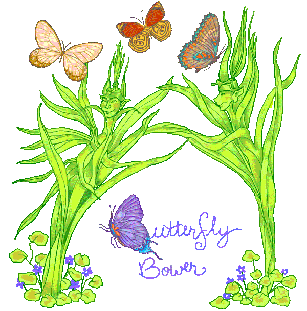 Grasslings Form a Butterfly Bower