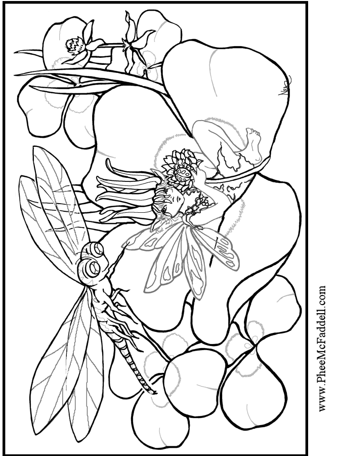 Dragonfly coloring and craft Project  www.pheemcfaddell.com