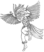 Male Bird Dancer