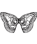 Butterfly Mask to Color