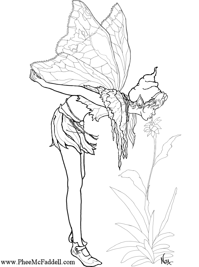 Kissing Fairy Www Pheemcfaddell Com