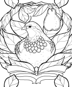 Partridge in a Pear Tree Coloring Page