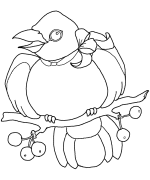 Little Crow Coloring Page